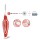 SilverCare ONE Interdentalbürsten Ultra Fine 6er