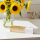 Beverly Hills Formula Perfect White Gold Zahnpasta