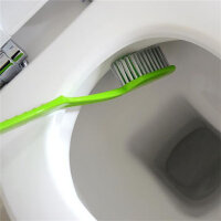 Toilettenbürste Zahnbürste