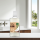 Ecodenta Organic Mundspülung Kokos & Minze – Alkoholfrei