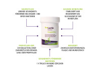 ApaCare OraLactin Orales Probiotikum Kaupastillen