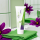 ApaCare OraLactin Zahncreme mit flüssigem Zahnschmelz und probiotischen Wirkstoffen